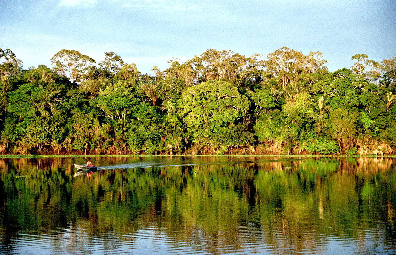 Amazonic rainforest in Brazil