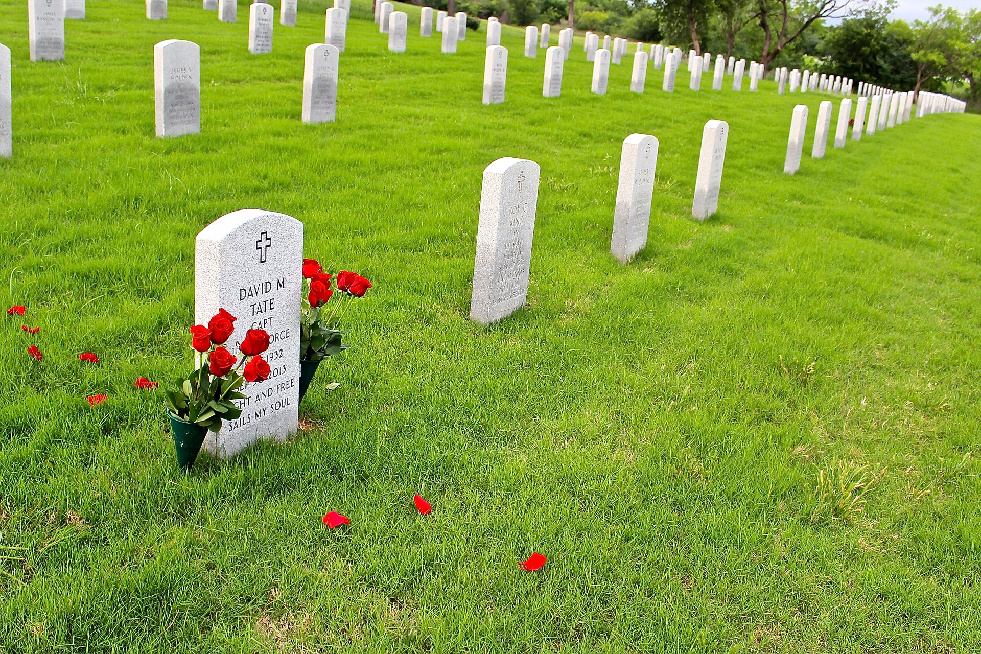 Headstones aligned in rows on a war cemetery