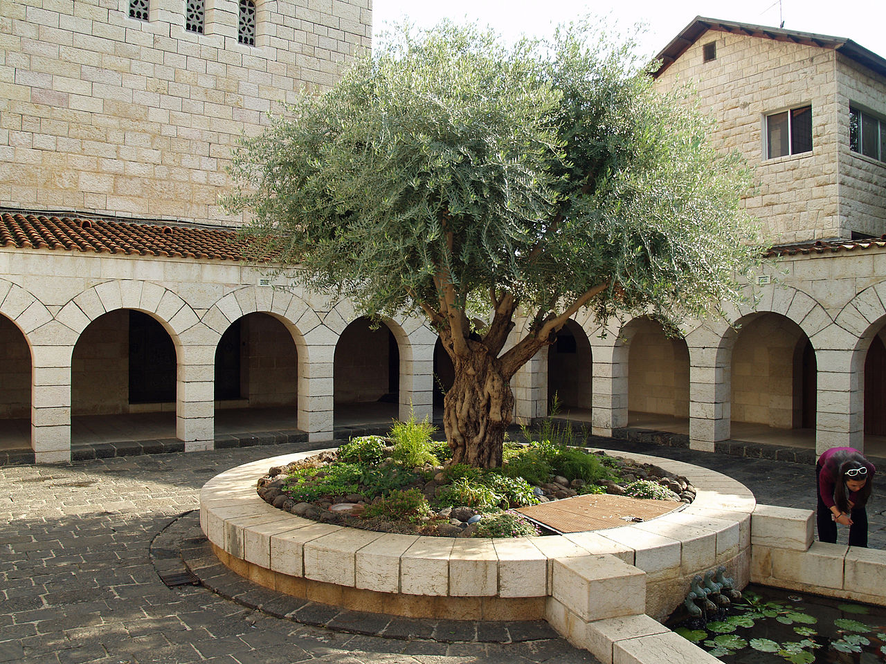 Courtyard of the Church of the Multiplication in Tabgha