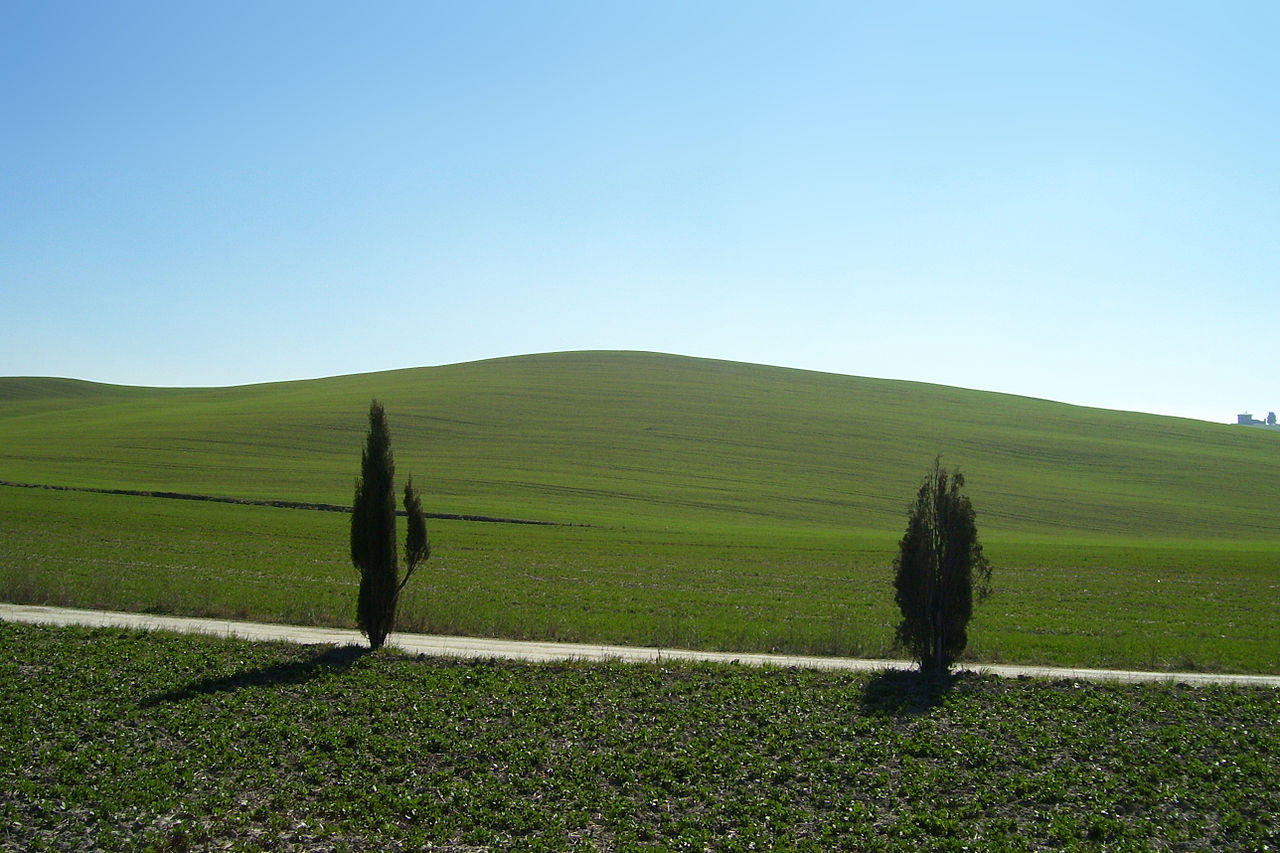 Hilly landscape in Val d'Orcia