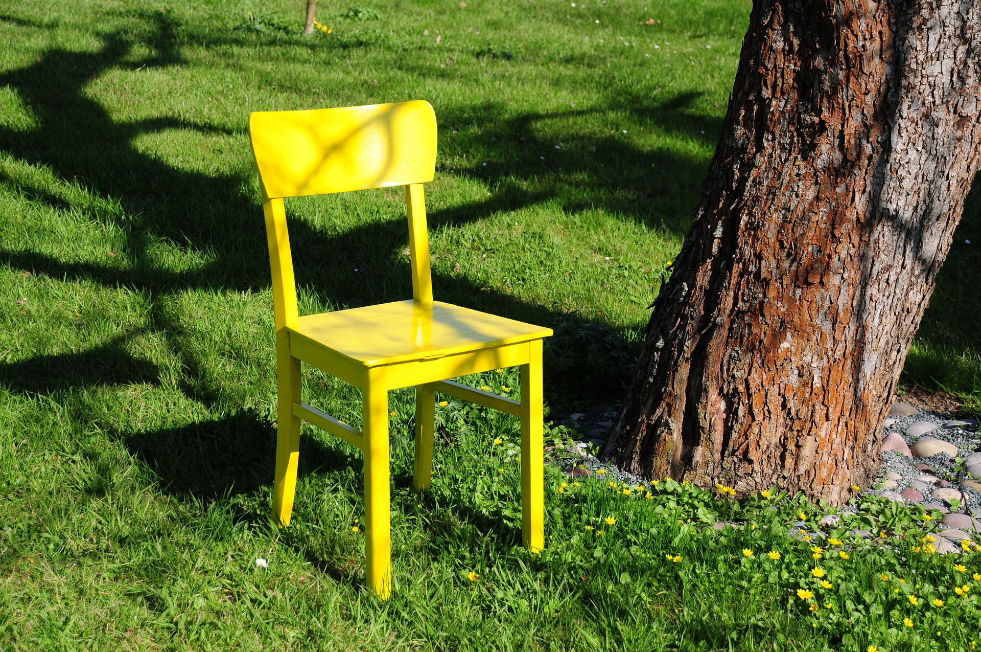 Chair in the garden in spring