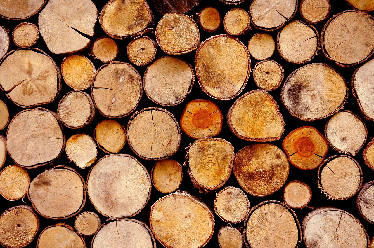 Logs ready to be thrown into a fireplace